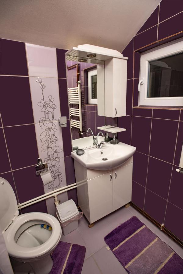 Crni Vrh Apartmani Sp Jovanovic מראה חיצוני תמונה